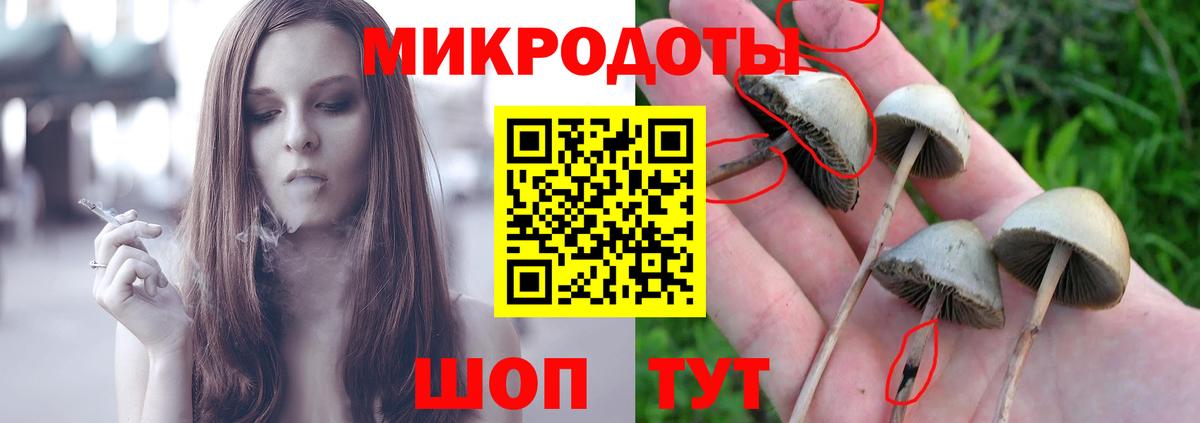 Галлюциногенные грибы GOLDEN TEACHER Магадан