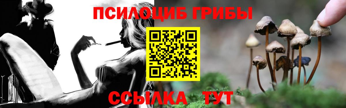 Магадан  Псилоцибиновые грибы прущие грибы  Вход с VPN 